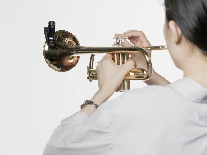 KORG MTC1 MetroClip, Clip-On Metronom