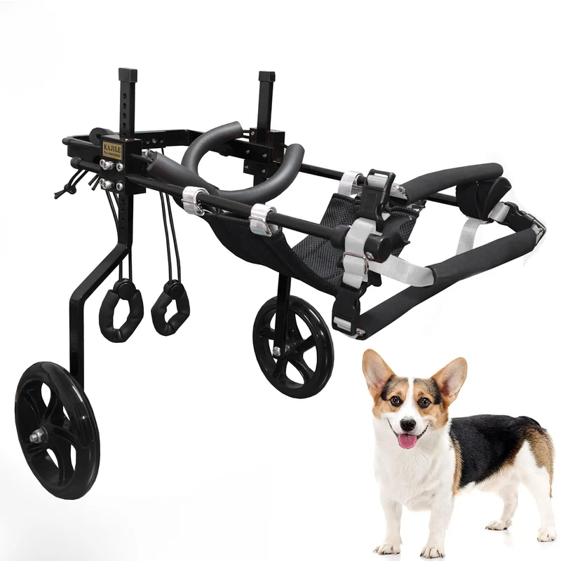 Einstellbare Hunde-Rollstuhl,Hinterbein-Rehabilitation,Schwarz,M-1 Schwarz M-1, Schwarz M-1