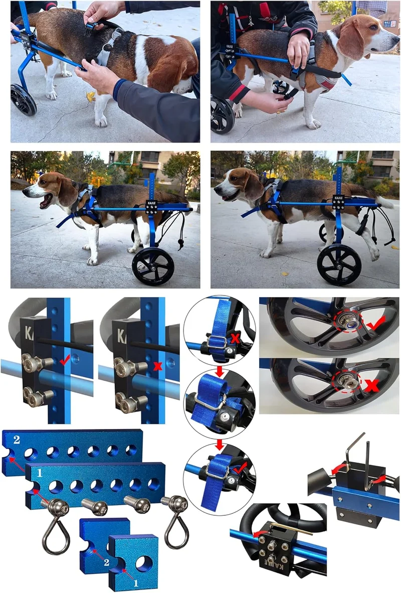 Einstellbare Hunde-Rollstuhl,Hinterbein-Rehabilitation,Schwarz,M-1 Schwarz M-1, Schwarz M-1