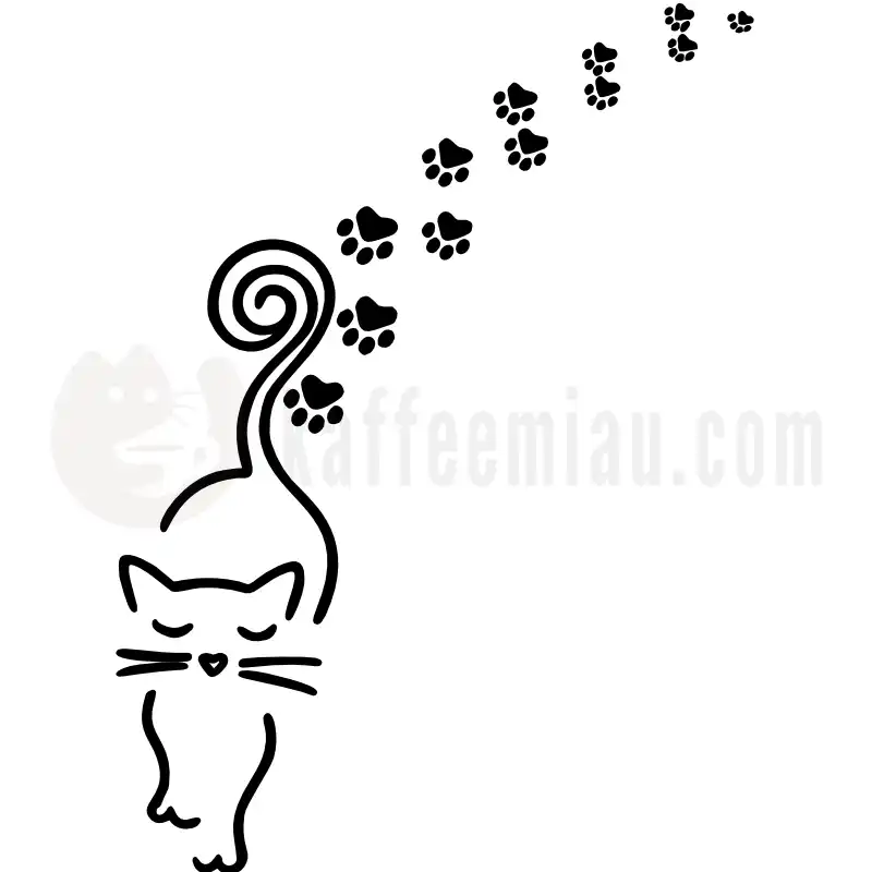 Catwalk - Tasse