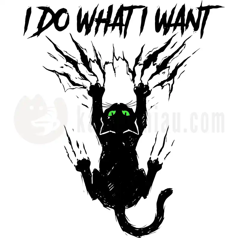 I do what I want to do - Tasse