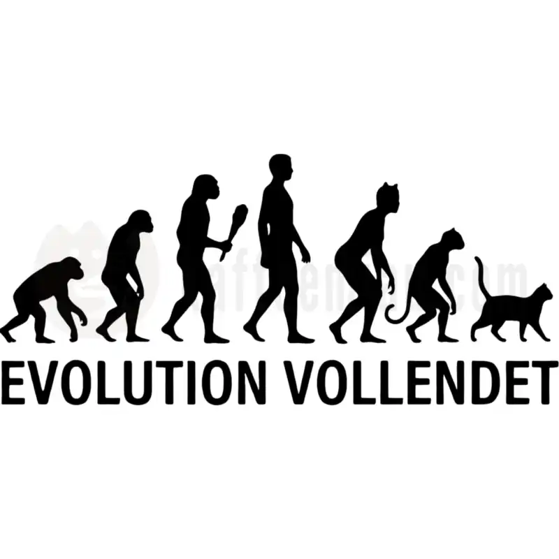 Evolution - Tasse