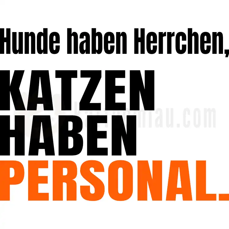 Katzen haben Personal - Tasse