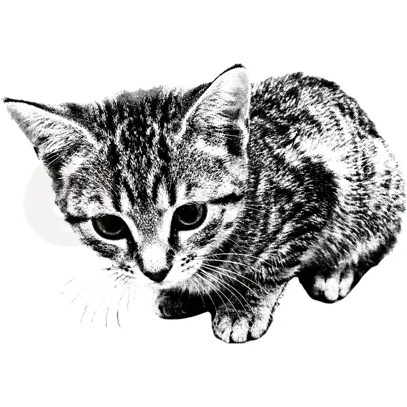 Sweet Kitten - Tasse