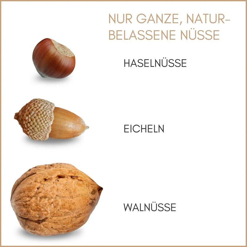 Supravit Frische Nüsse-Mix Eichhörnchen Futter 1kg | Futter für Eichhörnchen mit Haselnüsse, Walnüss