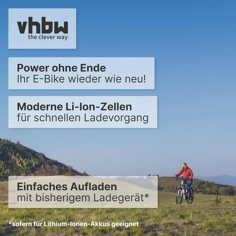 vhbw Akku kompatibel mit Panasonic Flyer C2