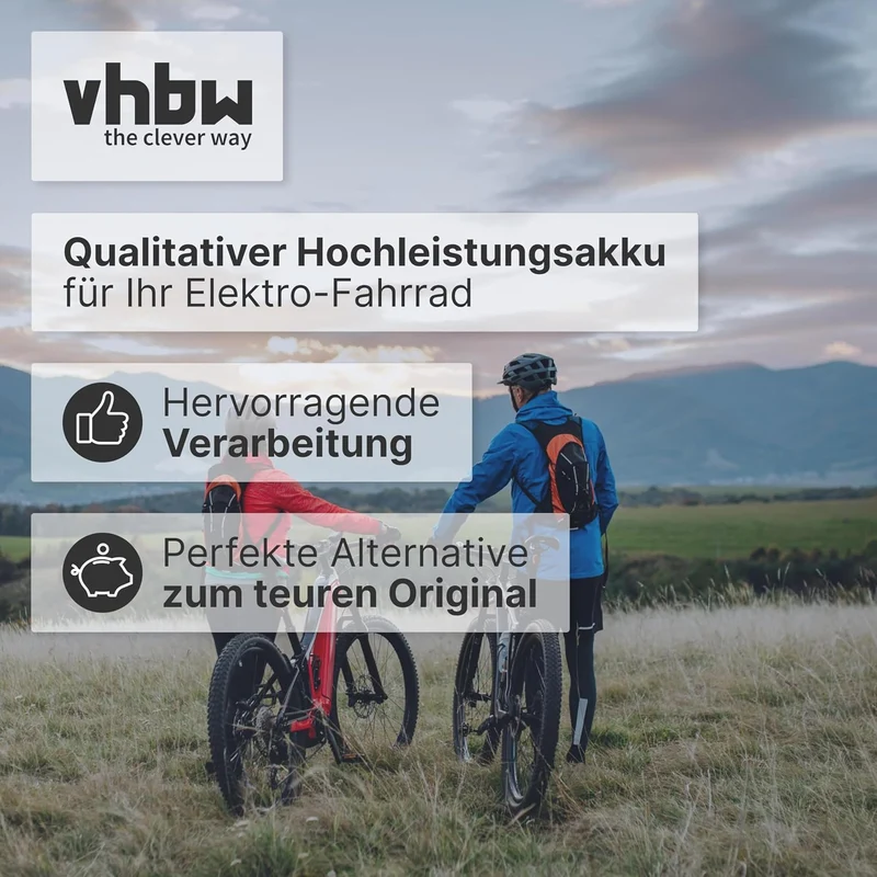 vhbw Akku kompatibel mit Panasonic Flyer L11 HS