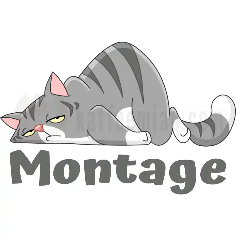 Montage - Tasse