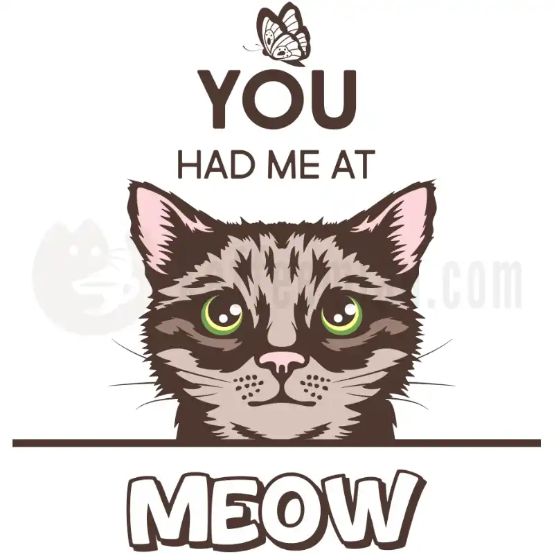 You had me at MEOW - Tasse