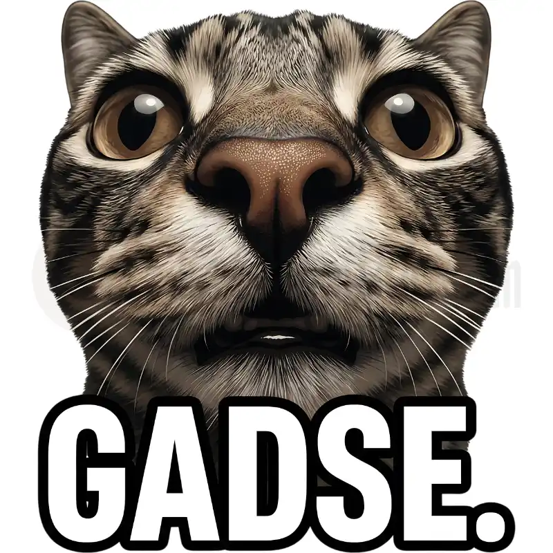 GADSE - Tasse