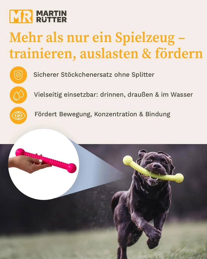 Martin Rütter FUNSTIX Stöckchenersatz für Hunde Grösse: M, Farbe: Metallic-Blau – Flexibler & sicher