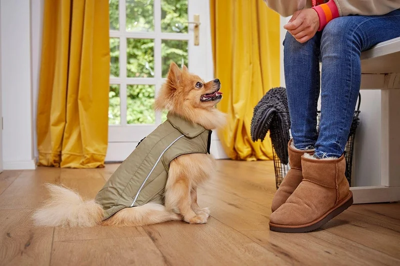 Wolters Skijacke Dogz Wear, Grösse:42 cm, Farbe:khakigrün 42 cm khakigrün, 42 cm khakigrün