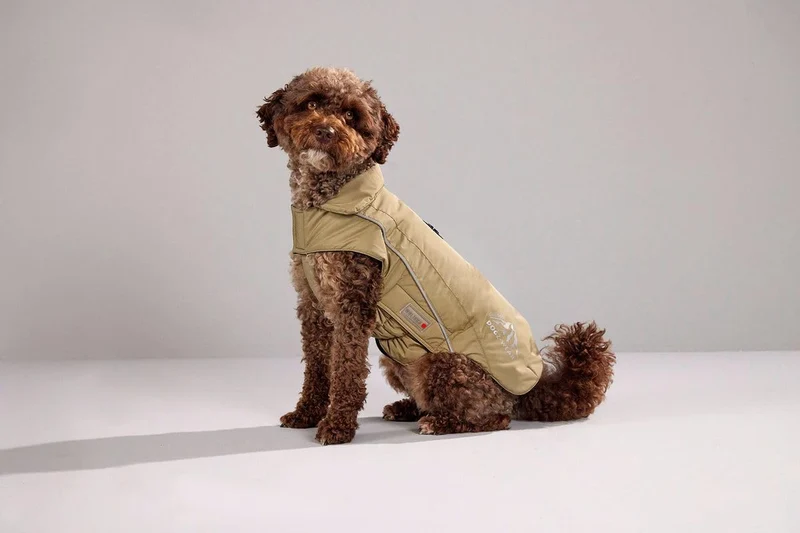 Wolters Skijacke Dogz Wear, Grösse:42 cm, Farbe:khakigrün 42 cm khakigrün, 42 cm khakigrün
