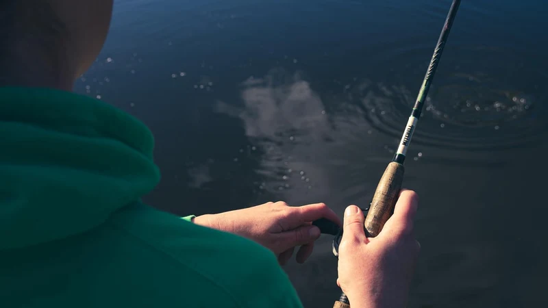 Mitchell Epic Spinnrute – Korkgriff, 24 T Carbon-Spinnrute für Salz- und Süsswasser 2.10m| 5-15g