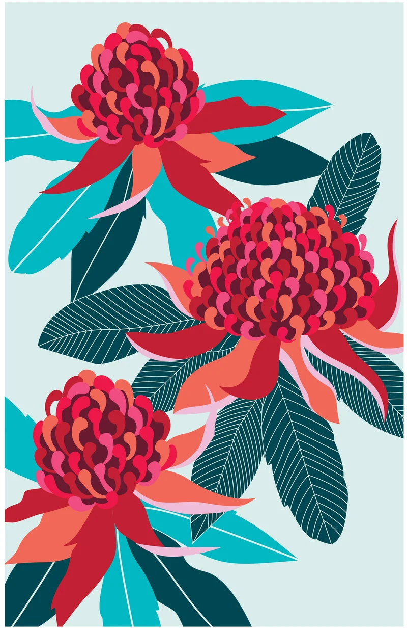 Geschirrtuch - Waratah Baumwolle 74cm x 47cm