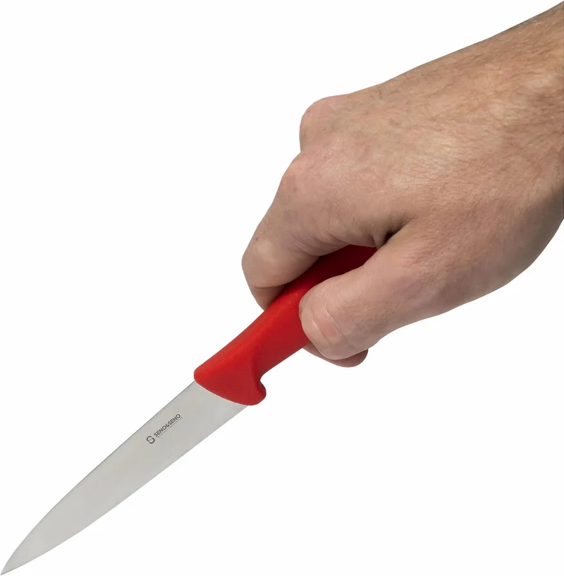 CHEF'S SECRET MESSER (9x1,8 cm), 9x1,8 cm