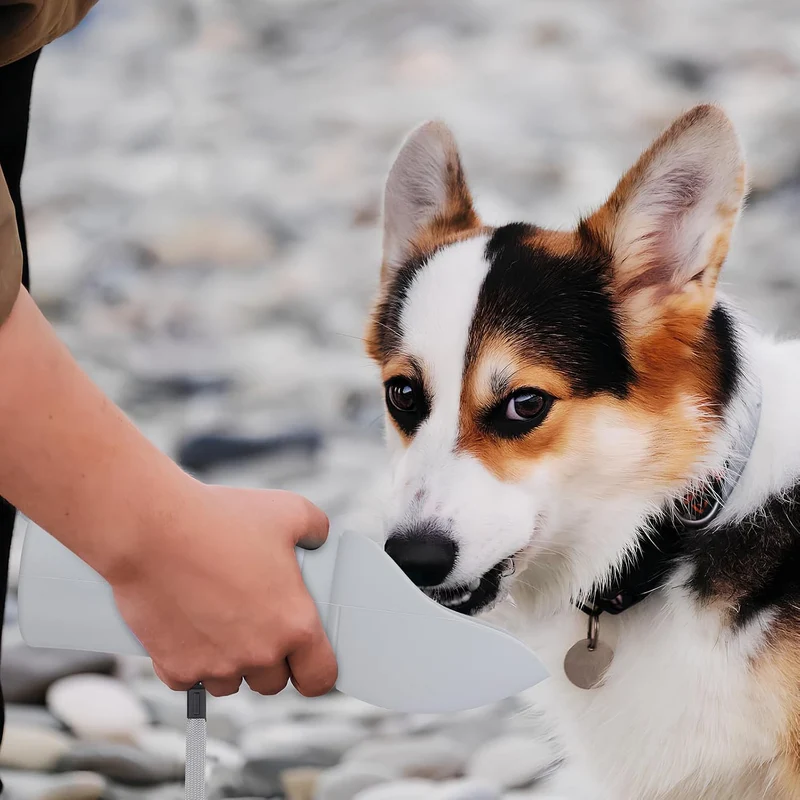Tragbare Hunde Trinkflasche mit Ausgiesser, 550ml Silikon
