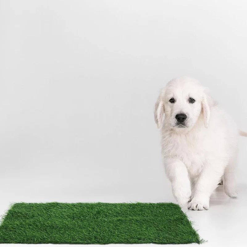 Zerodeko Wiederverwendbare Realistischem Grasdesign für Abs Kunstrasenmatte aus Hunde mit Leicht Zus
