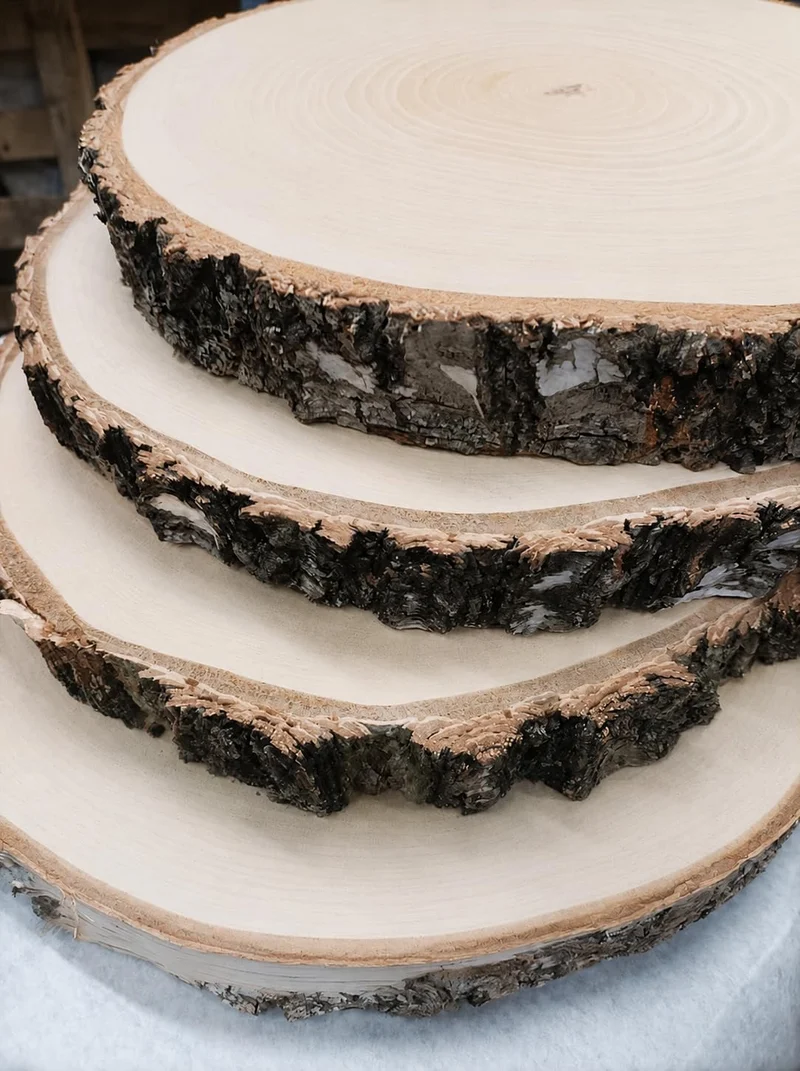 Birkenholzscheibe für DIY-Projekte & Dekoration – unbehandelt, gereinigt, naturbelassen, mit Rinde –