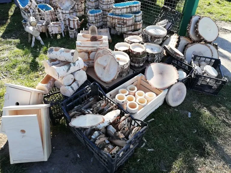 Birkenholzscheibe für DIY-Projekte & Dekoration – unbehandelt, gereinigt, naturbelassen, mit Rinde –