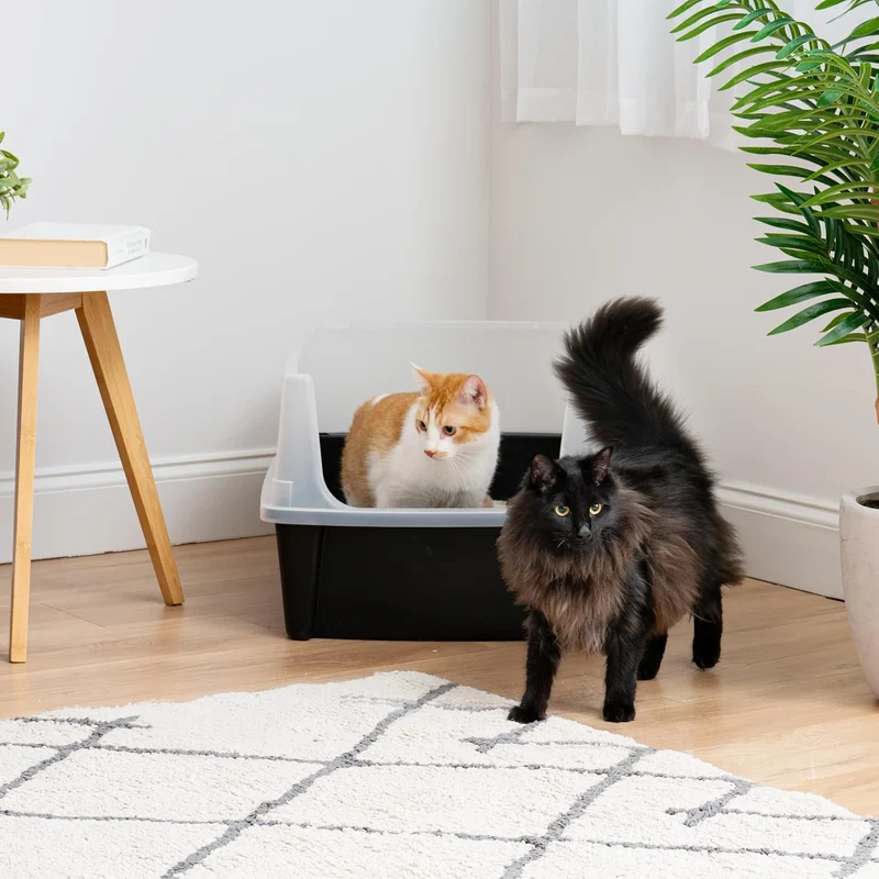 Iris Ohyama, XXL Katzenklo, Katzentoilette Hoher Rand, Schwarz, Grosses Katzenklo, Abnehmbare Ränder