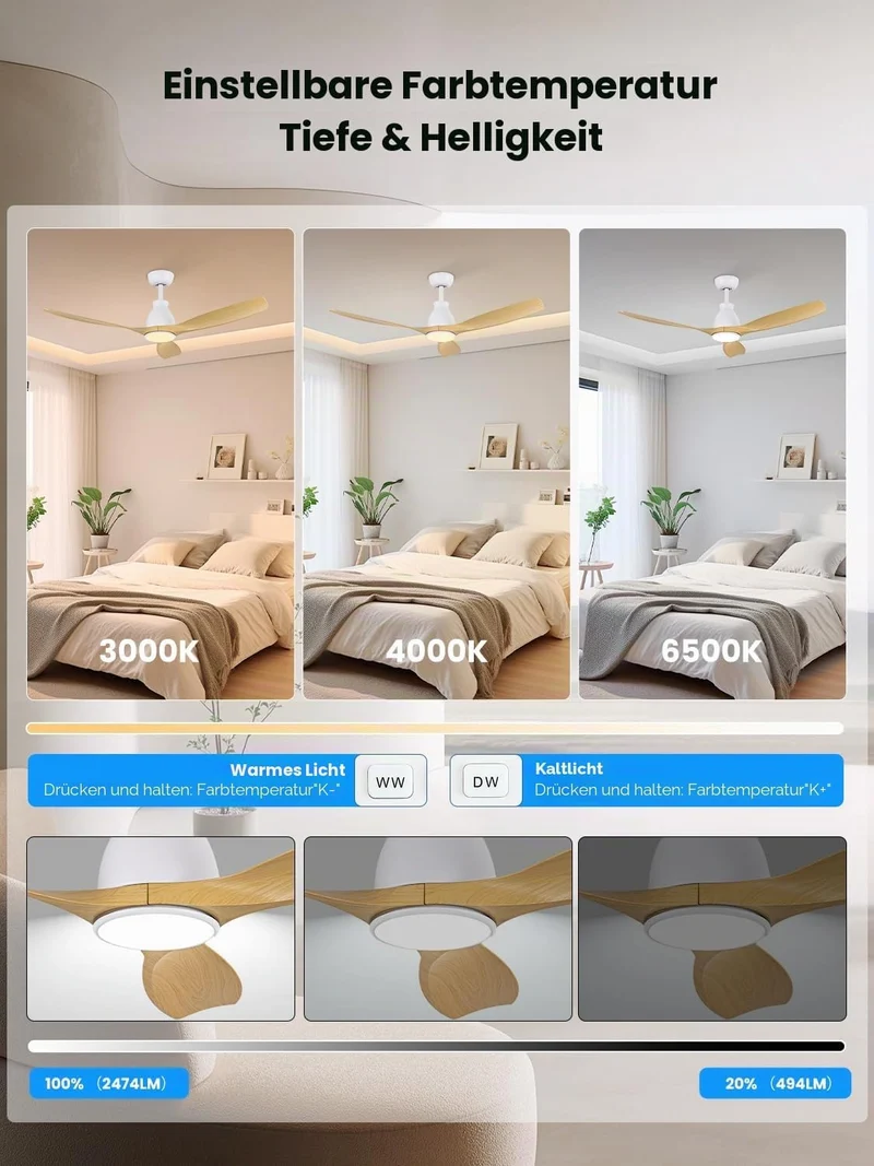 Newday DC Motor Deckenventilator mit LED Beleuchtung Fernbedienung Leise, 132cm Deckenventilator Hol