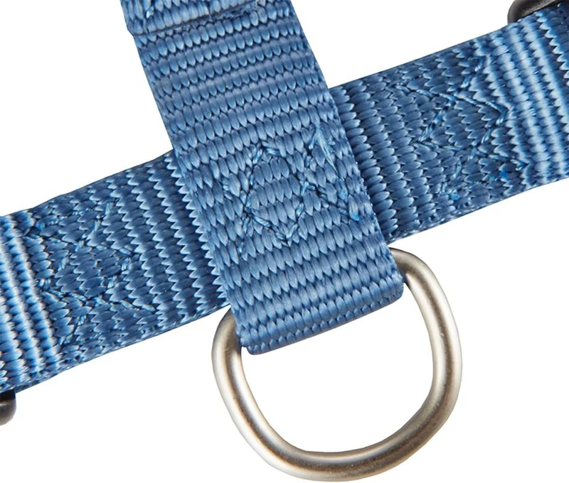 Wolters Geschirr Professional, Grösse:S 30-40 cm x 10 mm, Farbe:Riverside Blue