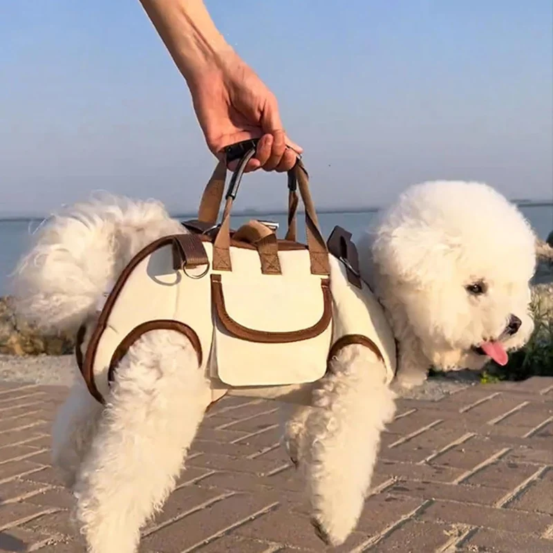 Hundetasche Mit Hunde Weste, Haustierweste Mit Riemen Für Kleiners Hunde Und Katzen, Tragbare Umhäng