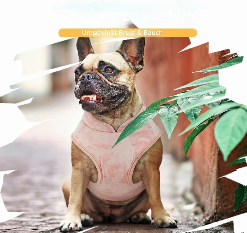 Hunde Kühlweste Sommer Atmungsaktiv Leicht Kühlmantel Hund Mit Leinenring, Verstellbar Sonnenschutz