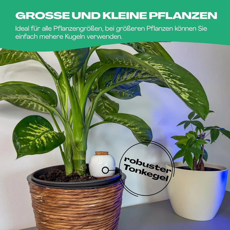 Netrox Bewässerungskegel aus Ton – 1x 750ml – ideal im Urlaub, bis 14 Tage – automatische Pflanzenbe