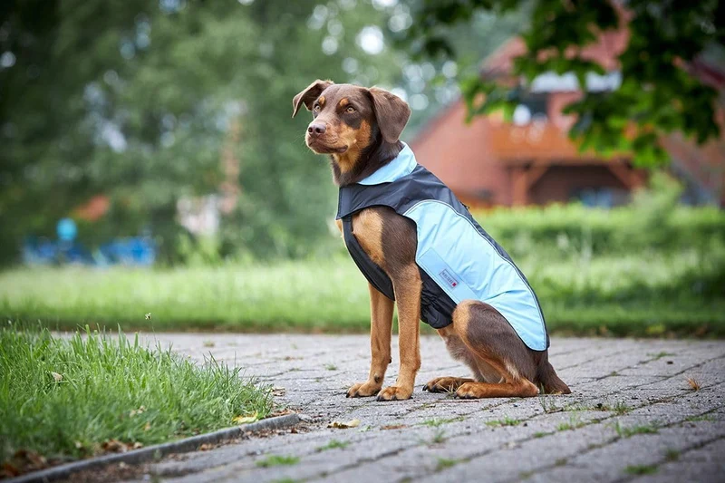 Wolters Regenjacke Easy Rain.., Grösse:42 cm, Farbe:blau 42 cm blau, 42 cm blau