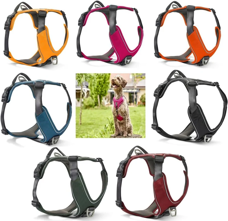 WOLTERS Geschirr Active Pro Comfort, Grösse:60-75 cm, Farbe:Magenta/anthrazit 60 - 75 cm magenta/ant