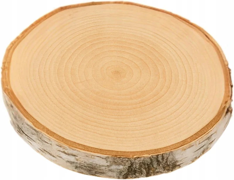 Birkenholzscheibe für DIY-Projekte & Dekoration – unbehandelt, gereinigt, naturbelassen, mit Rinde –