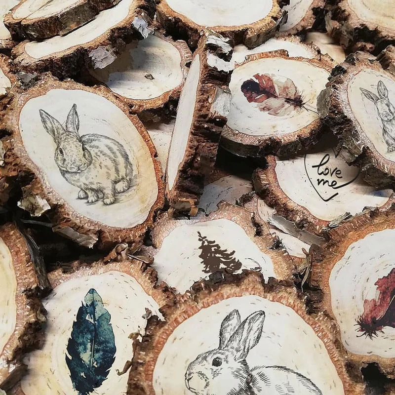 Birkenholzscheibe für DIY-Projekte & Dekoration – unbehandelt, gereinigt, naturbelassen, mit Rinde –