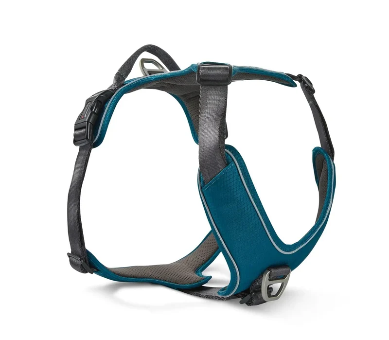 Wolters Geschirr Active Pro Comfort, Grösse:60-75 cm, Farbe:Petrol/anthrazit 60 - 75 cm petrol/anthr