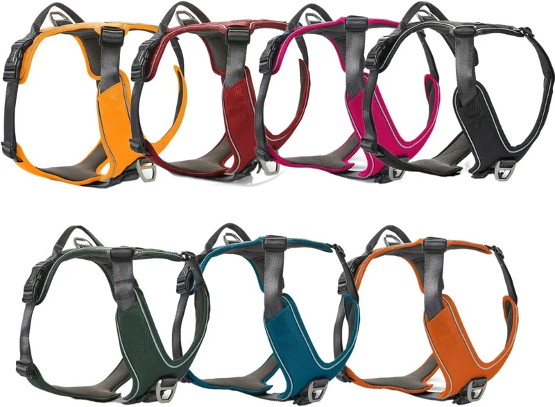 Wolters Geschirr Active Pro Comfort, Grösse:60-75 cm, Farbe:Petrol/anthrazit 60 - 75 cm petrol/anthr