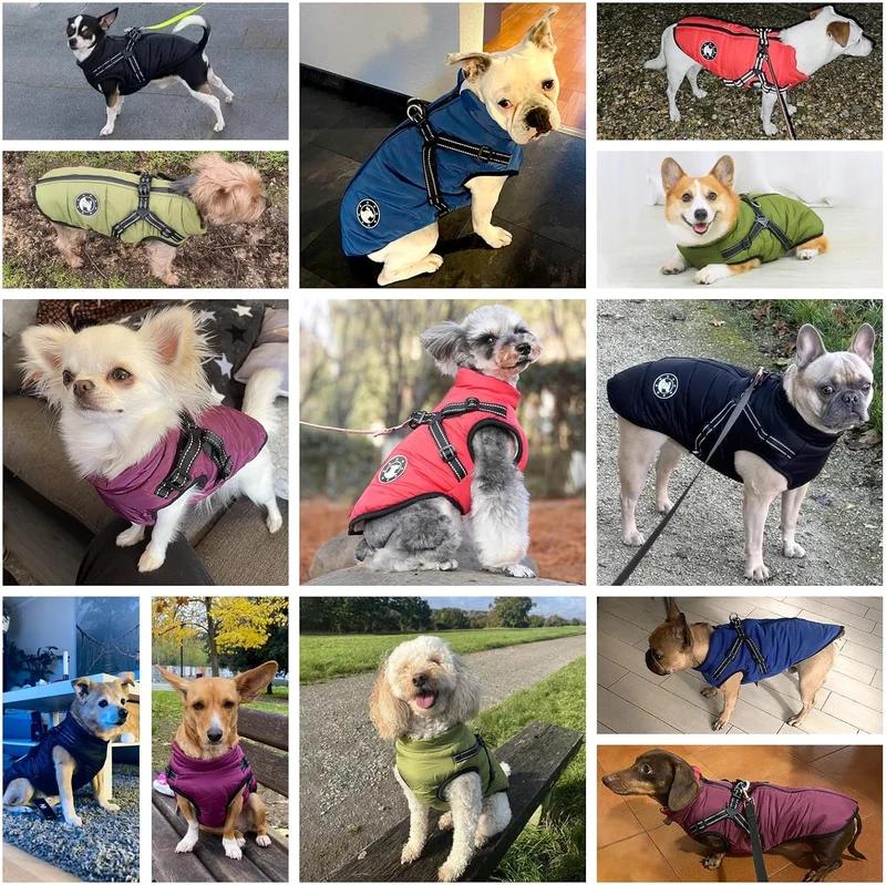 LUOWAN Hundemantel Wasserdicht, Hundemantel Französische Bulldogge, Warme Weste mit Hundegeschirr, V