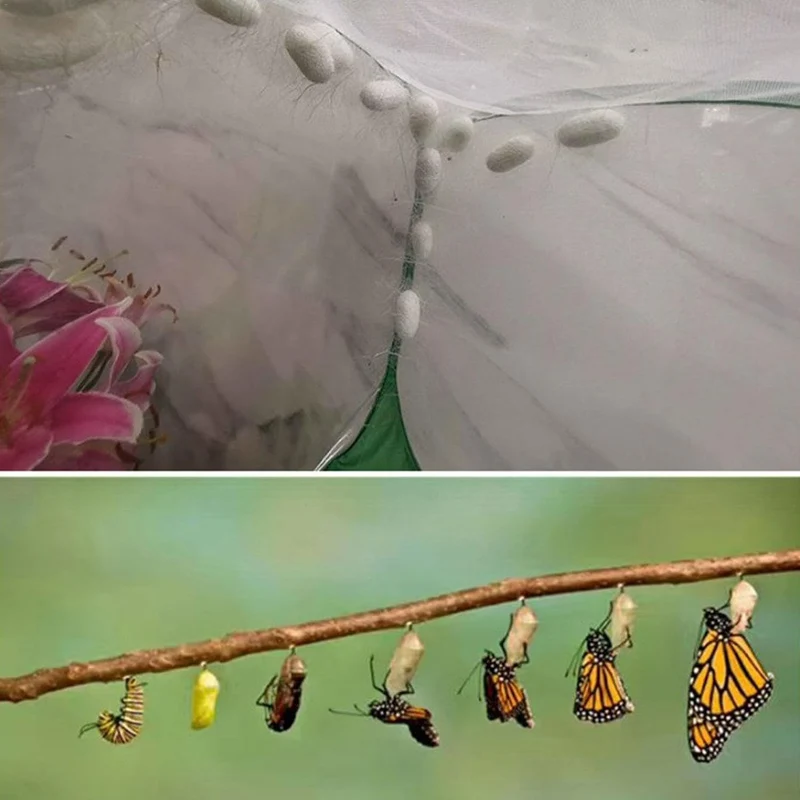 Schmetterlingshaus Lebensraum - Komfortabler Schmetterlingskäfig,Leichter Netz-Insektenkäfig, Sicher