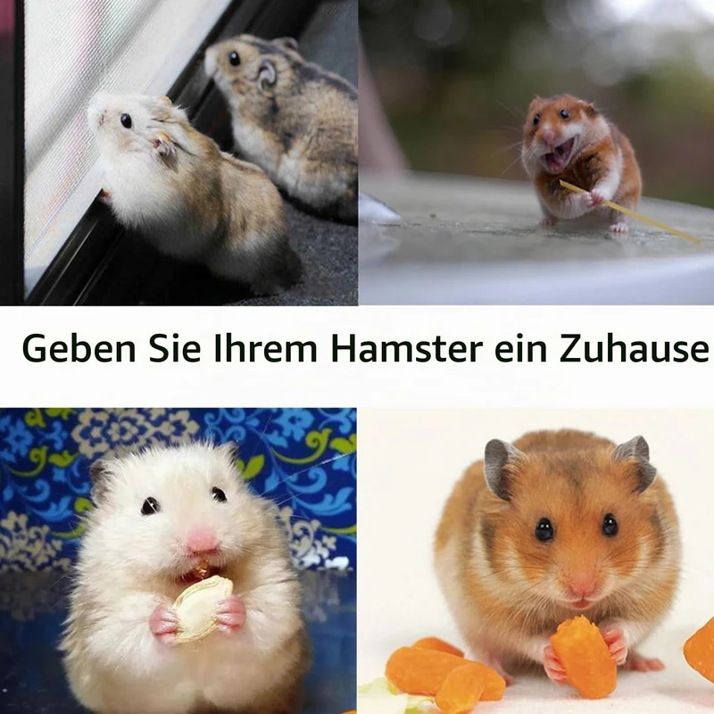 Hamster Haus Bett mit Aufhängeöse für Hamster, Chinchillas, Meerschweinchen & Kleintiere (Grün A), G