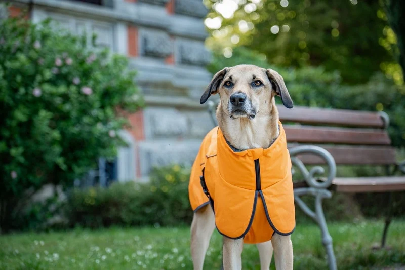 Wolters Hundejacke Cape Drizzle | Ganzjahresjacke für Hunde in der Farbe Orange | Grösse 28 (Rückenl
