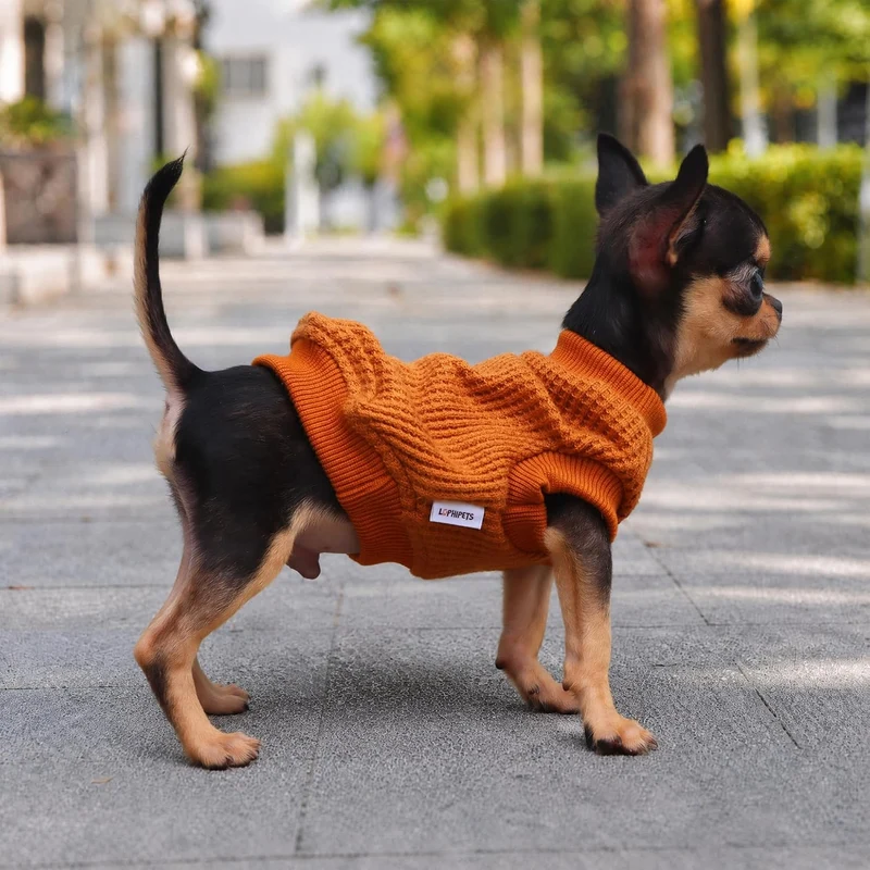LOPHIPETS Hundepullover für kleine Hunde Welpen Chihuahua Yorkie Kleidung Kaltes Wetter Mantel Gelb