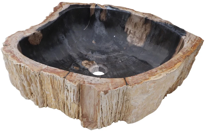 GURU SHOP Massives Fossiles Holz Aufsatz-Waschbecken, Waschschale, Naturstein Handwaschbecken - Mode