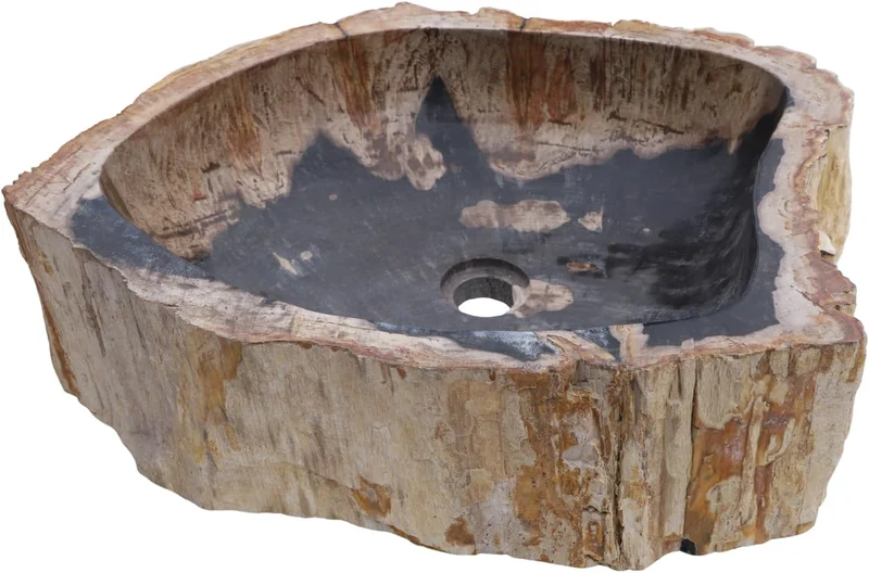 GURU SHOP Massives Fossiles Holz Aufsatz-Waschbecken, Waschschale, Naturstein Handwaschbecken - Mode