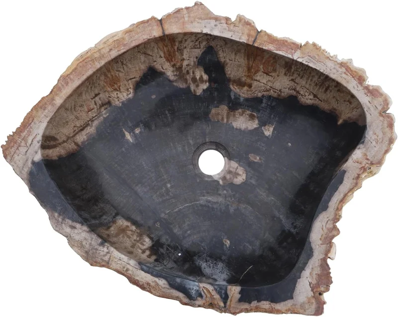 GURU SHOP Massives Fossiles Holz Aufsatz-Waschbecken, Waschschale, Naturstein Handwaschbecken - Mode