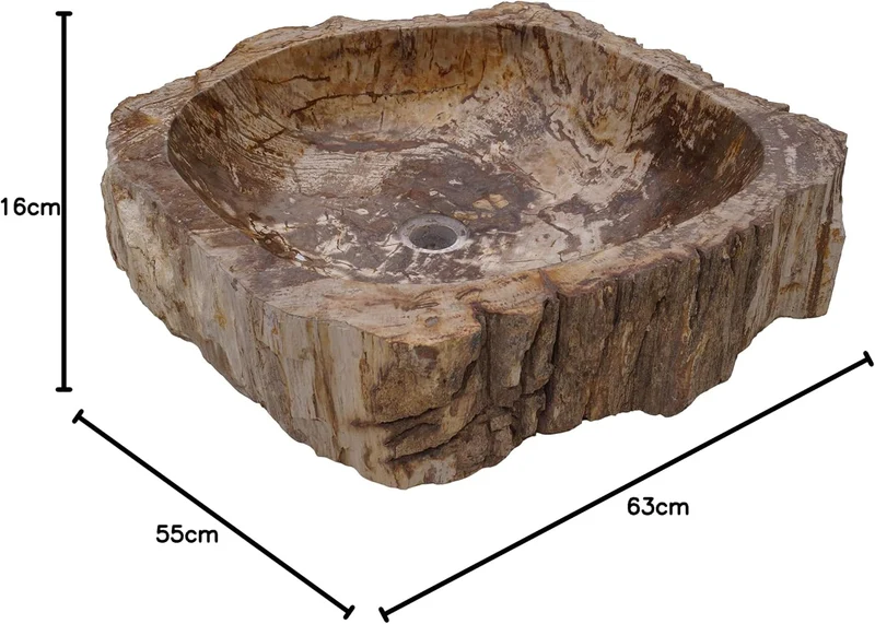 GURU SHOP Massives Fossiles Holz Aufsatz-Waschbecken, Waschschale, Naturstein Handwaschbecken - Mode