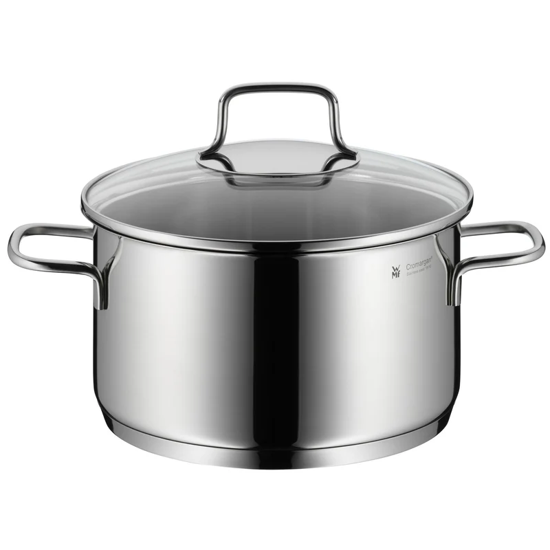 WMF Astoria Kochtopf gross 20cm, Glasdeckel, Fleischtopf Induktion 3,3l, Cromargan Edelstahl poliert