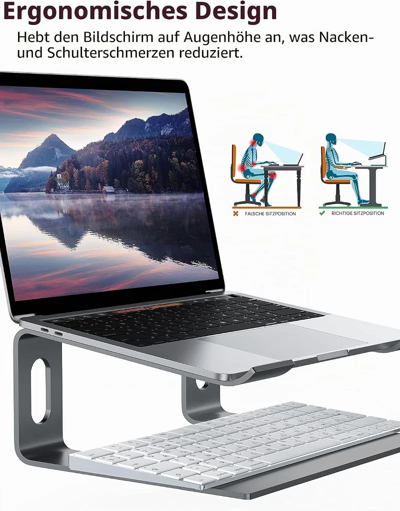 ALASHI Laptop-Ständer für Schreibtisch, Aluminium-Computer-Erhöhung, ergonomischer Notebook-Halter,