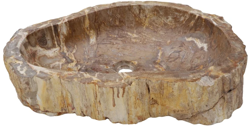 GURU SHOP Massives Fossiles Holz Aufsatz-Waschbecken, Waschschale, Naturstein Handwaschbecken - Mode