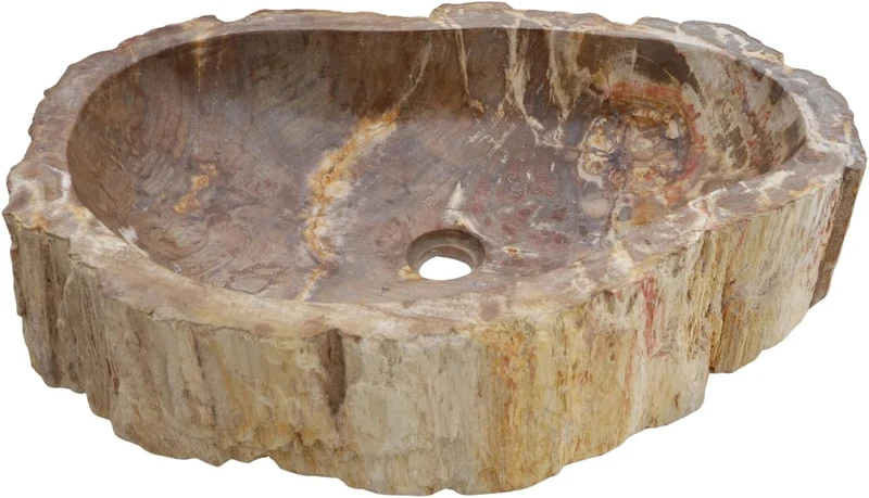 GURU SHOP Massives Fossiles Holz Aufsatz-Waschbecken, Waschschale, Naturstein Handwaschbecken - Mode