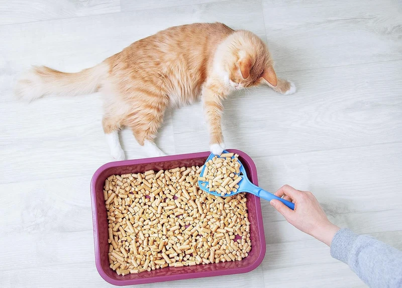 Katzenstreu, Katzenstreu Pellets Holz, Holzpellets Kaninchen für Geruchs und Feuchtigkeitskontrolle,